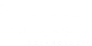 Logo Andromede gala 2026