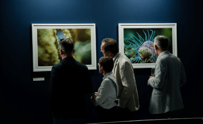 Gala 2026 MHB exposition photos
