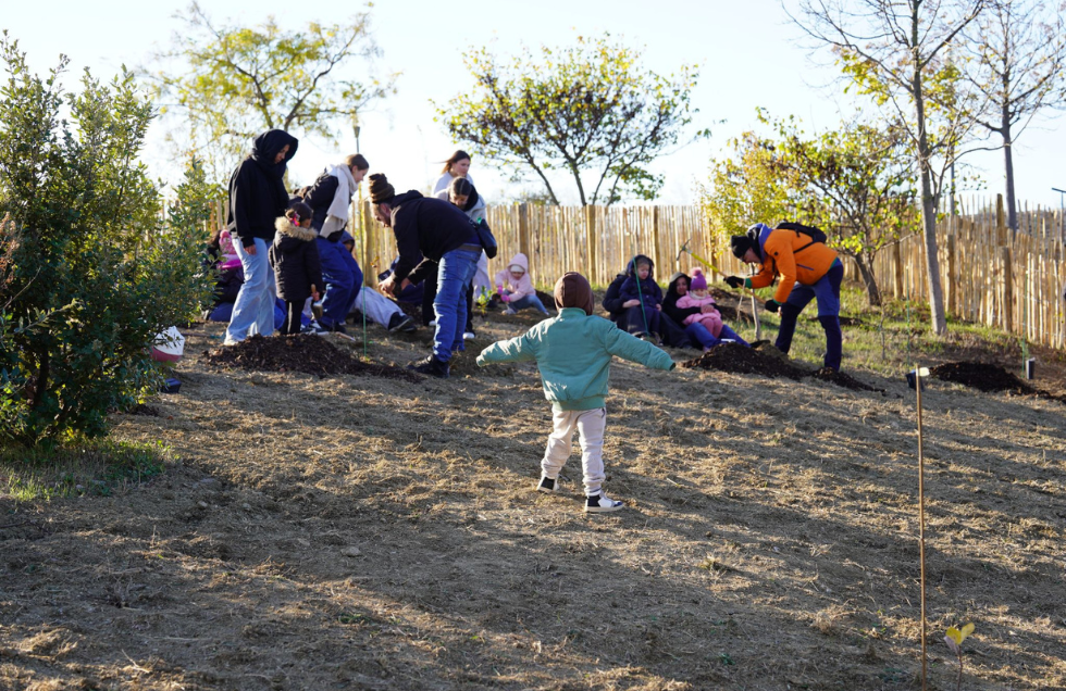 Enfants aux bosquet fruitier à Malbosc
